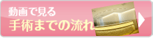 動画で見る