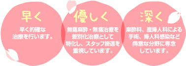 1.早く的確な治療を行います。2.無痛麻酔・無痛治療を差別化技術として特化し、スタッフ接遇を重視しています。3.麻酔、婦人科専門医20名による手術、婦人科感染など得意な分野に専念しています。