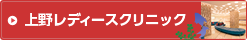 上野レディースクリニック