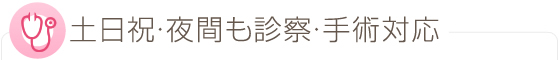 土日祝・夜間も診察・手術対応