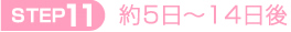 STEP:11　約５日～14日後